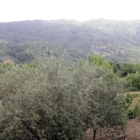 Bed & Breakfast Nicolabiondo